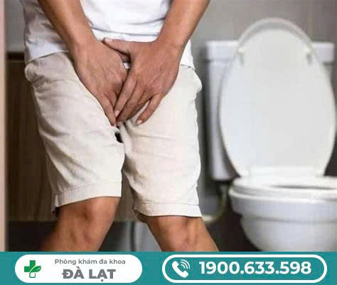 Hình ảnh minh họa